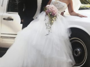 Dianey kjole fra Kennedys