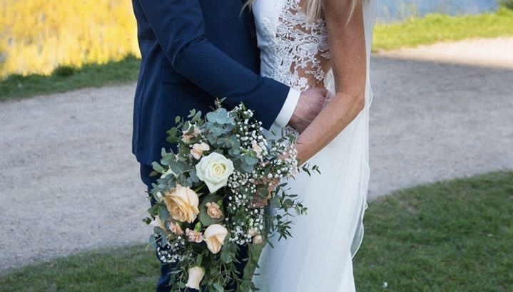 Pronovias One Barcelona brudekjole