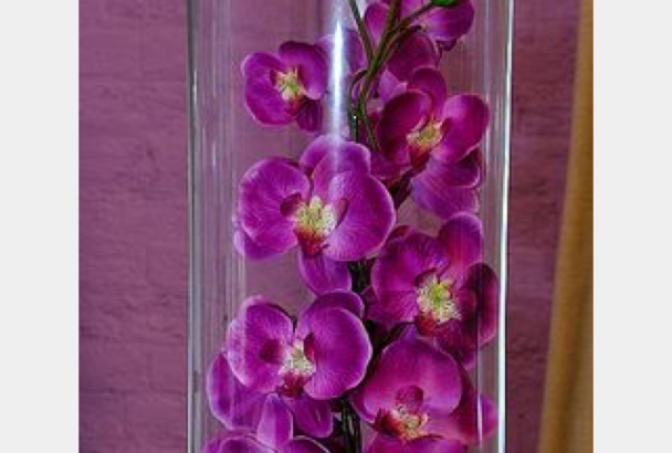Glas cylinder vaser