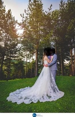 Pronovias super fint brudekjole.