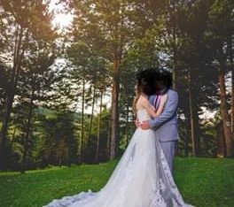 Pronovias super fint brudekjole.